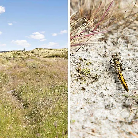 Hébergement de vacances 395-thisted-blabaervej-23 *