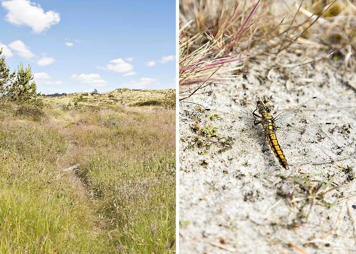 395-thisted-blabaervej-23 * Thisted